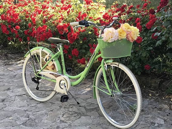 Los 10 accesorios de bicicleta vintage imprescindibles